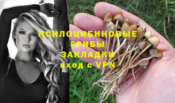 прущие грибы Костерёво