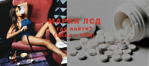 хмурый Корсаков