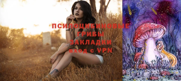 хмурый Корсаков
