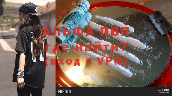 прущие грибы Костерёво