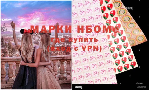 прущие грибы Костерёво