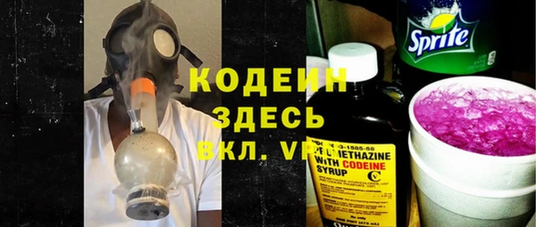 хмурый Корсаков
