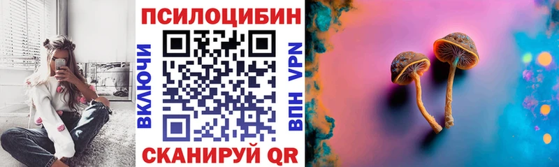 Купить закладки  Яранск  Псилоцибиновые грибы MAGIC MUSHROOMS 
